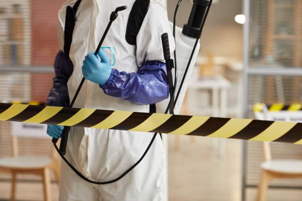 Professional Sewage Cleanup technician working in Naples, ME